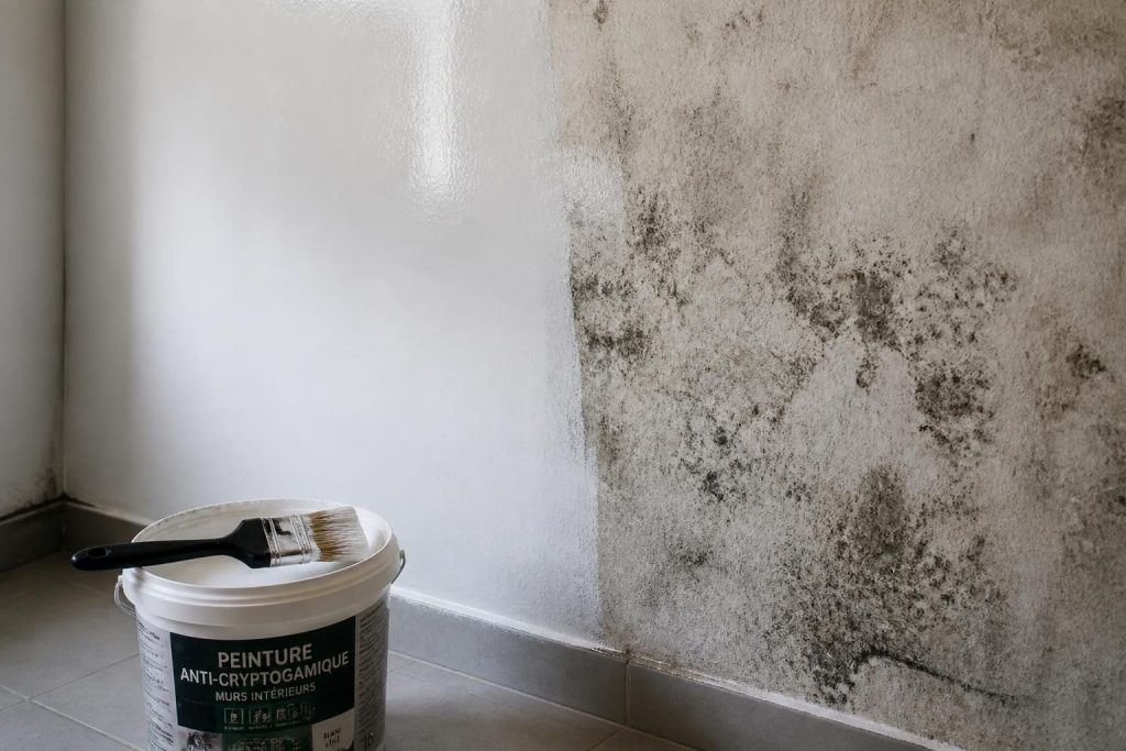découvrez notre peinture anticryptogamique efficace pour protéger vos surfaces contre les champignons et moisissures, assurant durabilité et hygiène.